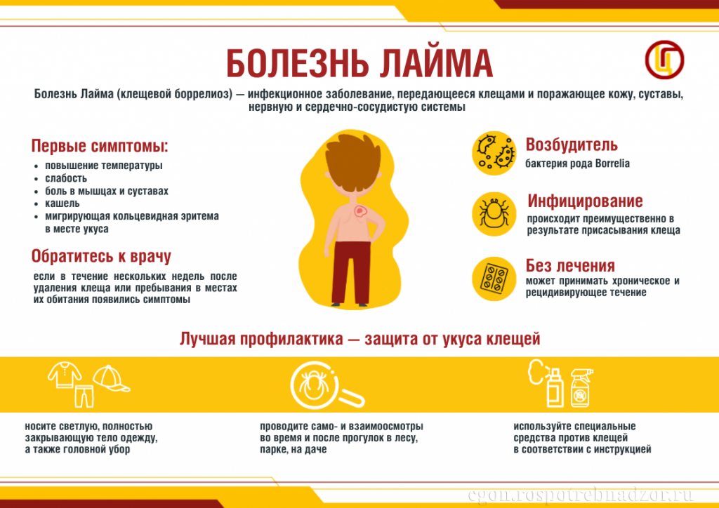 Болезнь Лайма.png
